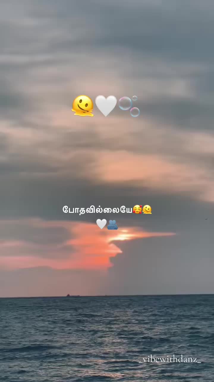 @_vibewithdanz_