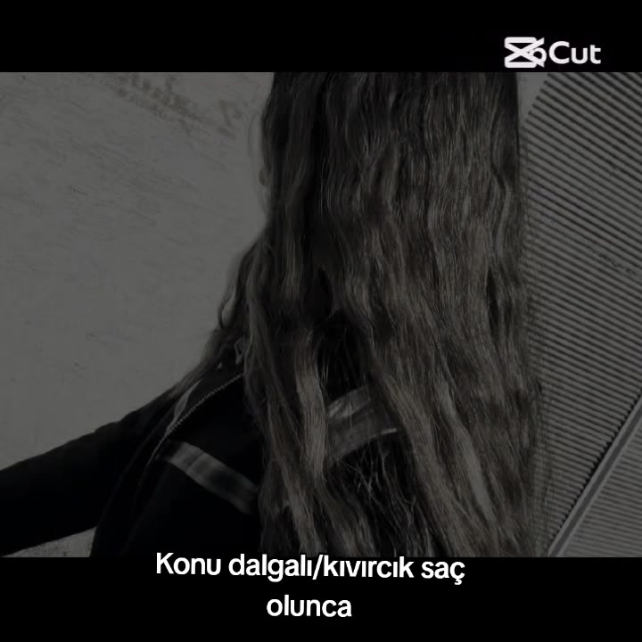 @shbo.fan