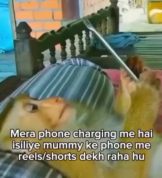 @memesheem