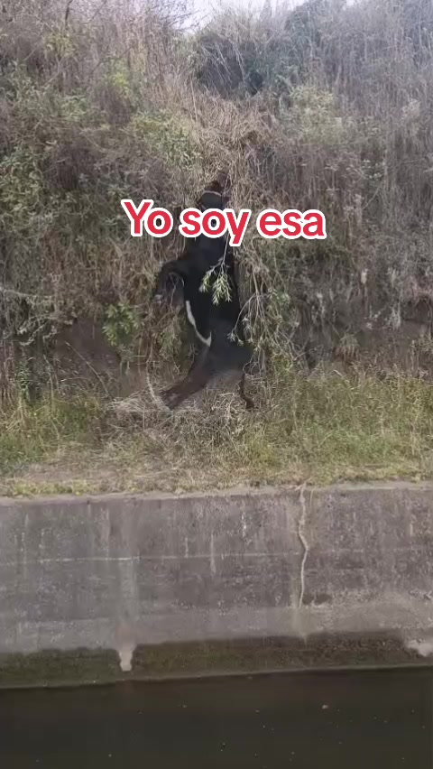 @Mari👩🏻🏫