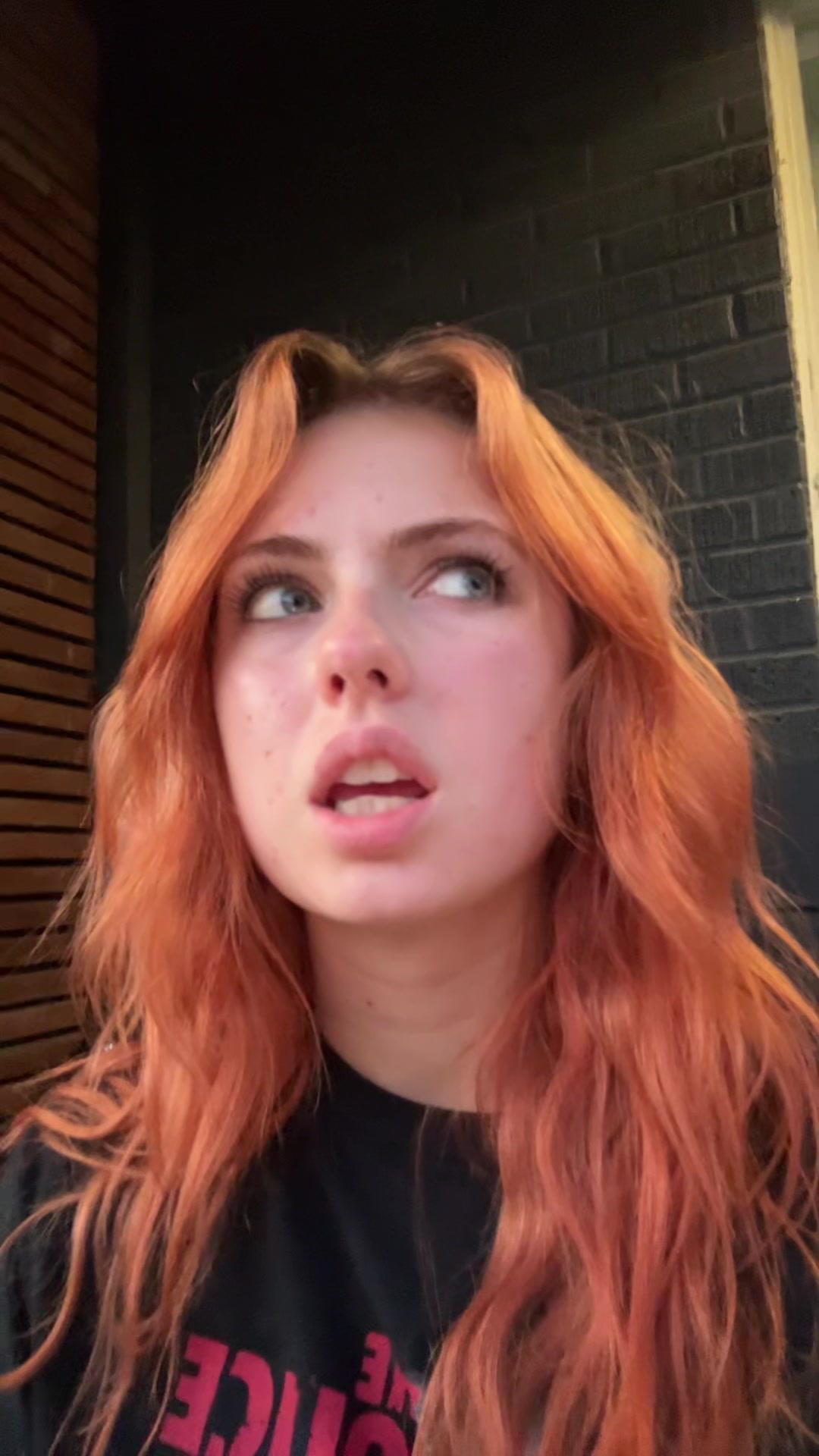 @amelia bedilia