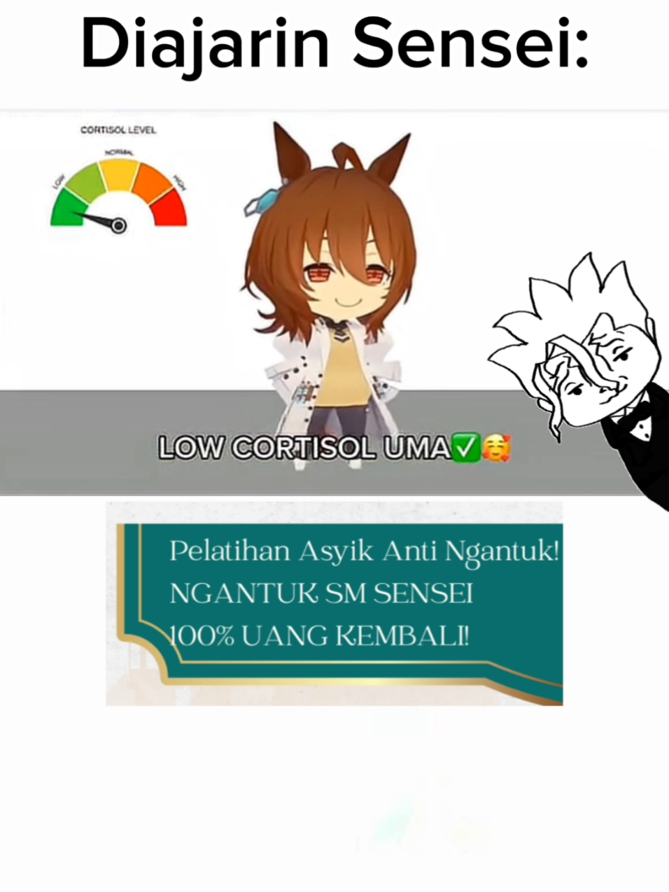 @Senku Sensei