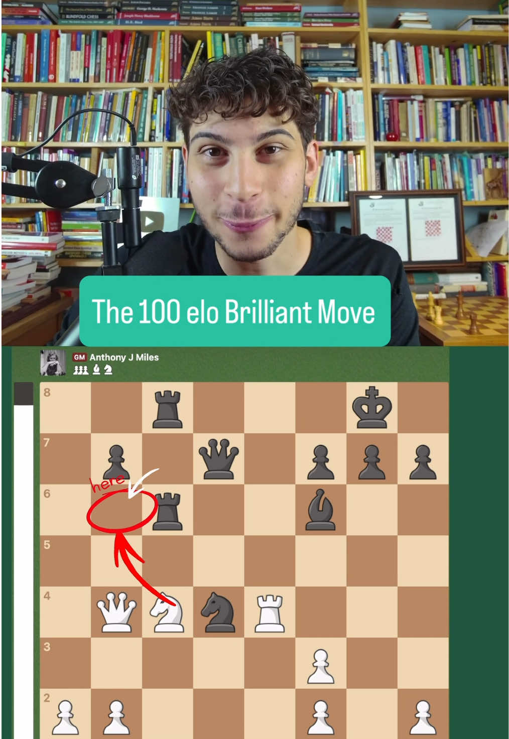 @the chess nerd ♟