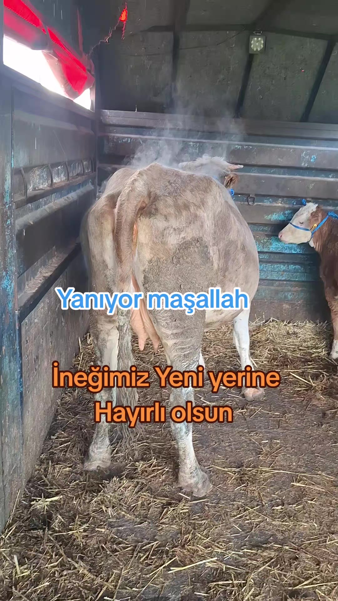 @✎﹏﹏𝐾𝑎𝑑𝑖𝑟 Ş𝑎ℎ&icirc;𝑛﹏﹏