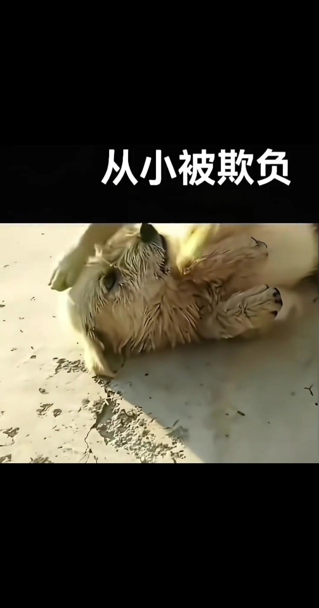 @秦始皇