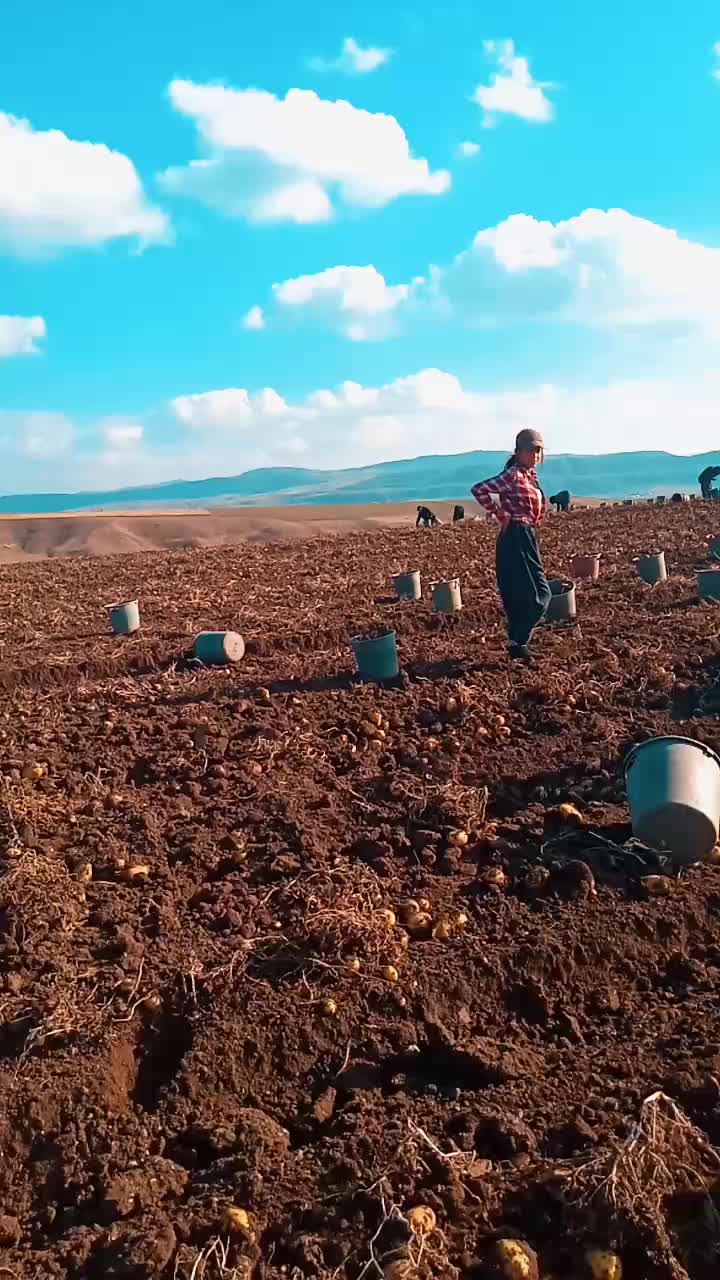 @Musa körpe