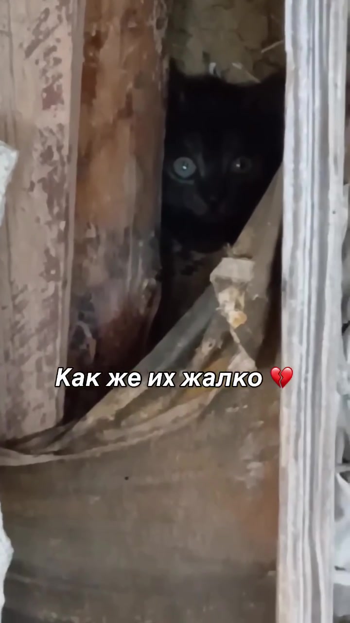 @Семейный Хуторок