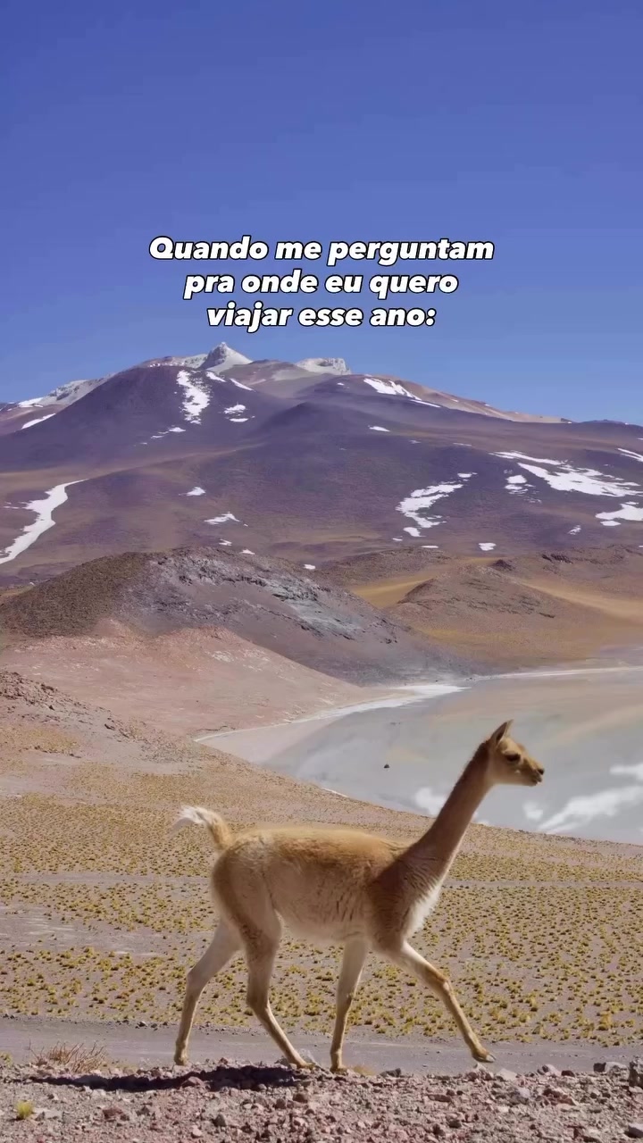 @large.travel