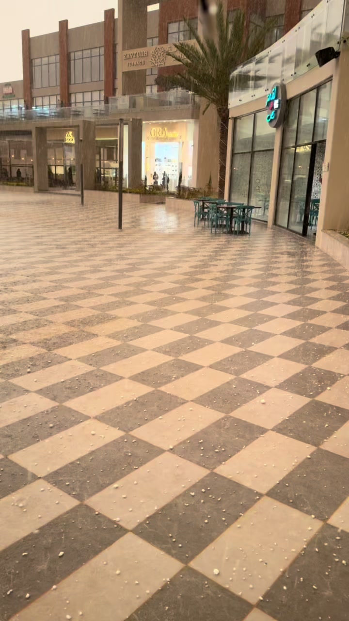 @الــزين💛🐆.