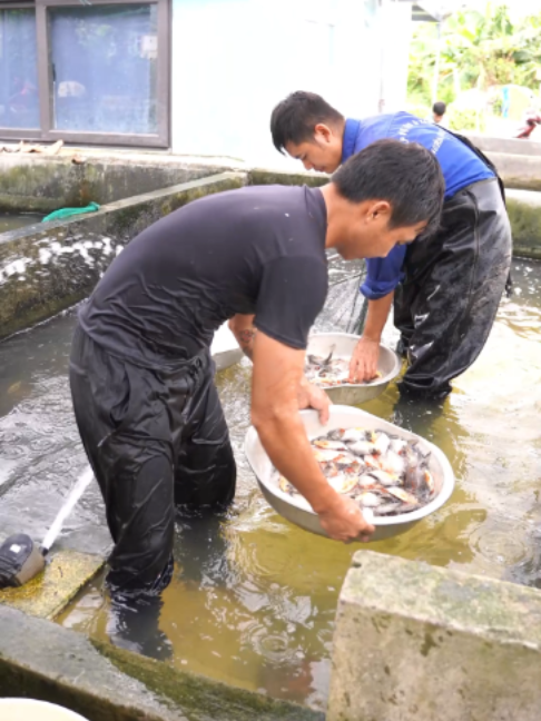 @Trại Cá Giống Quang Lâm
