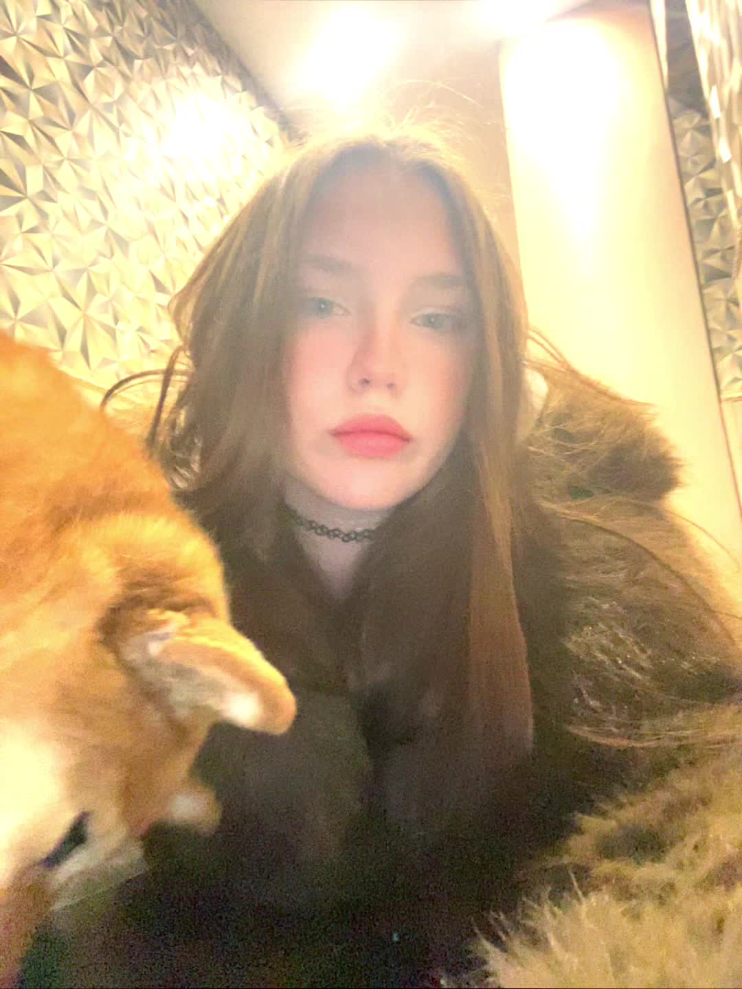 @anastevasha