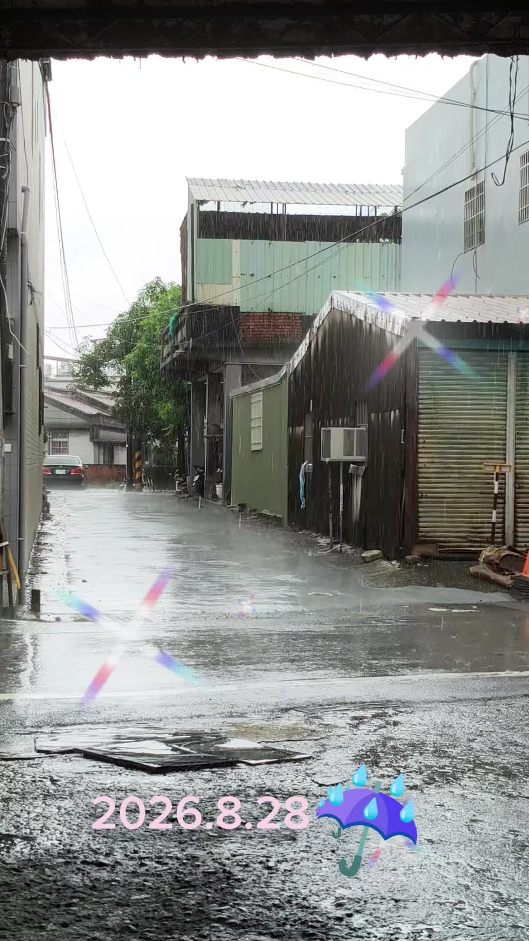 @大珍寶🥕