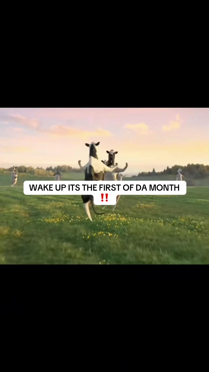 @kingjord3y