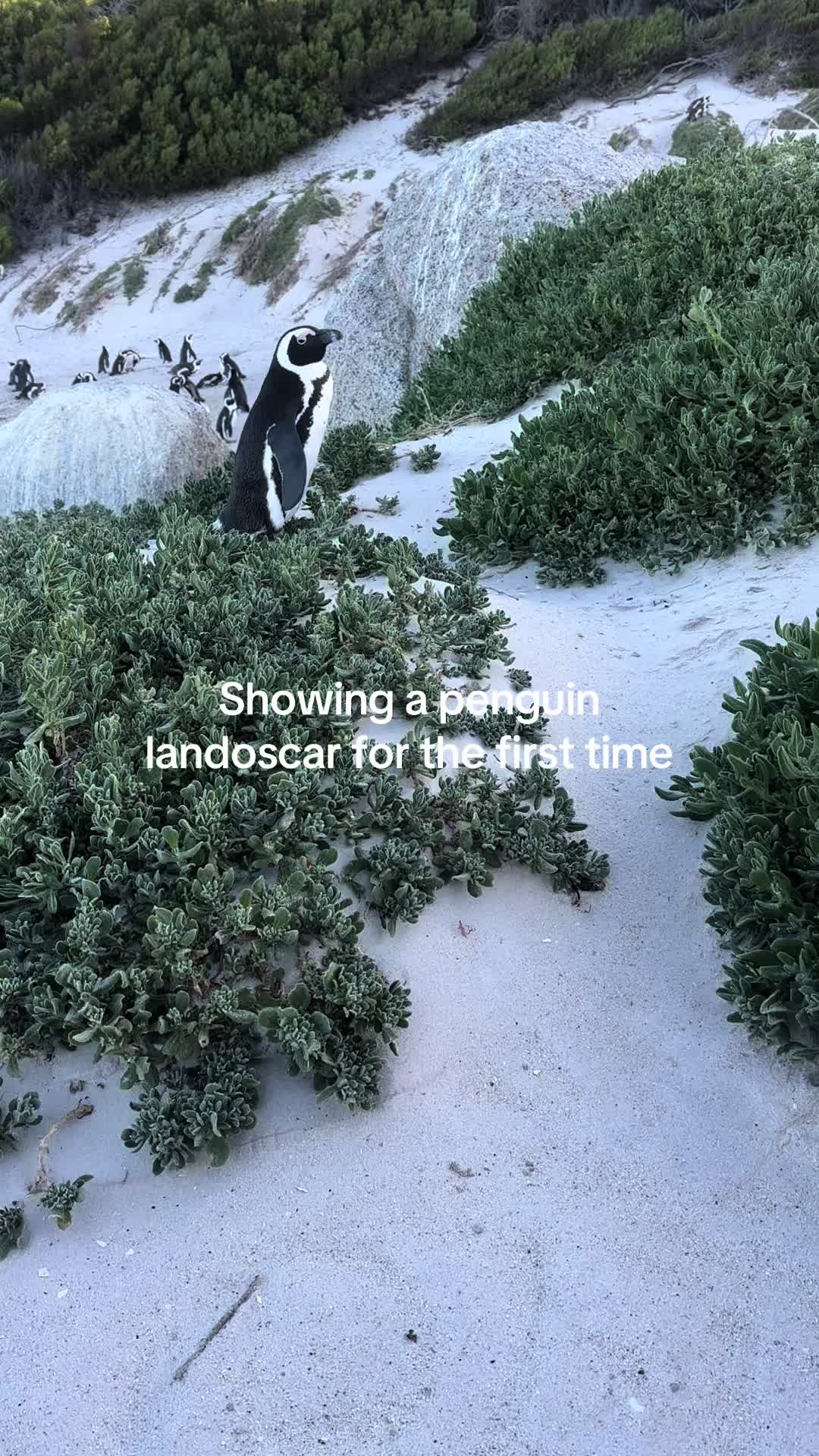 @Marbie