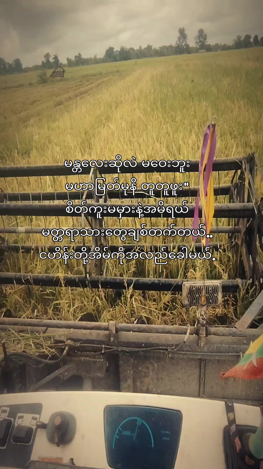 @ငဟိန်း🥀(Officialacc)🥀🍁