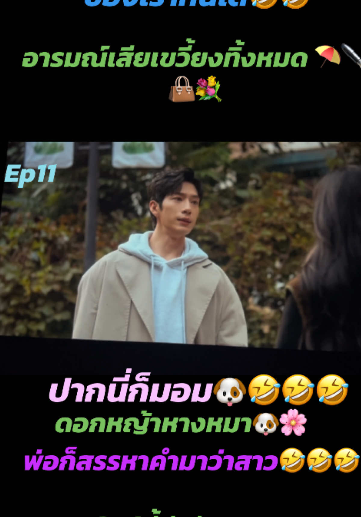 @Avril🐥Aioy🇹🇭🇨🇦