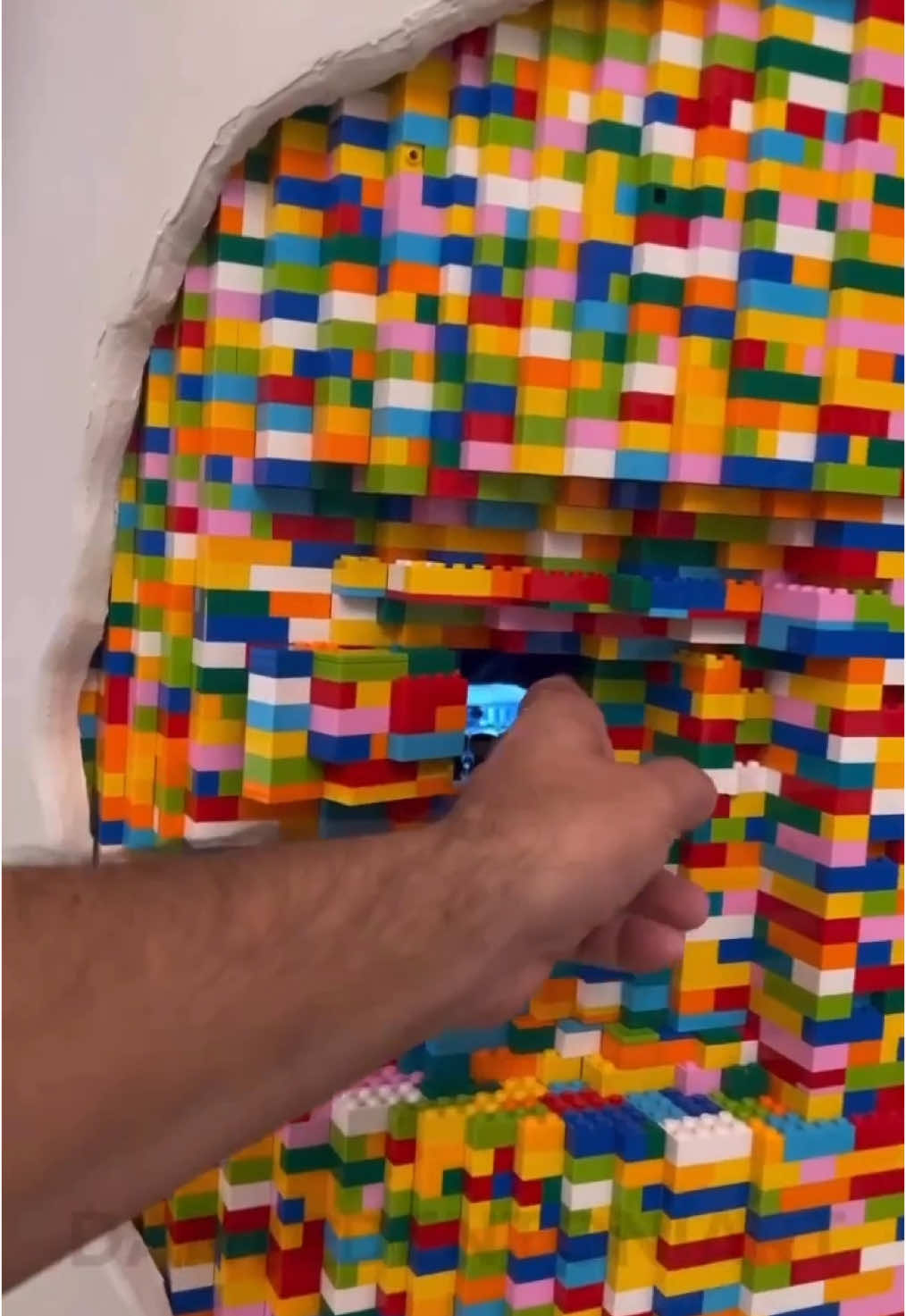 @dantedentoni