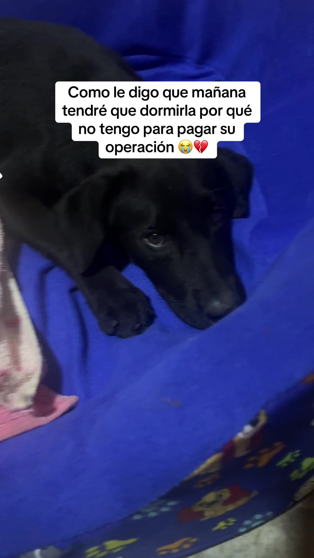 @GERSON EL&Iacute;AS