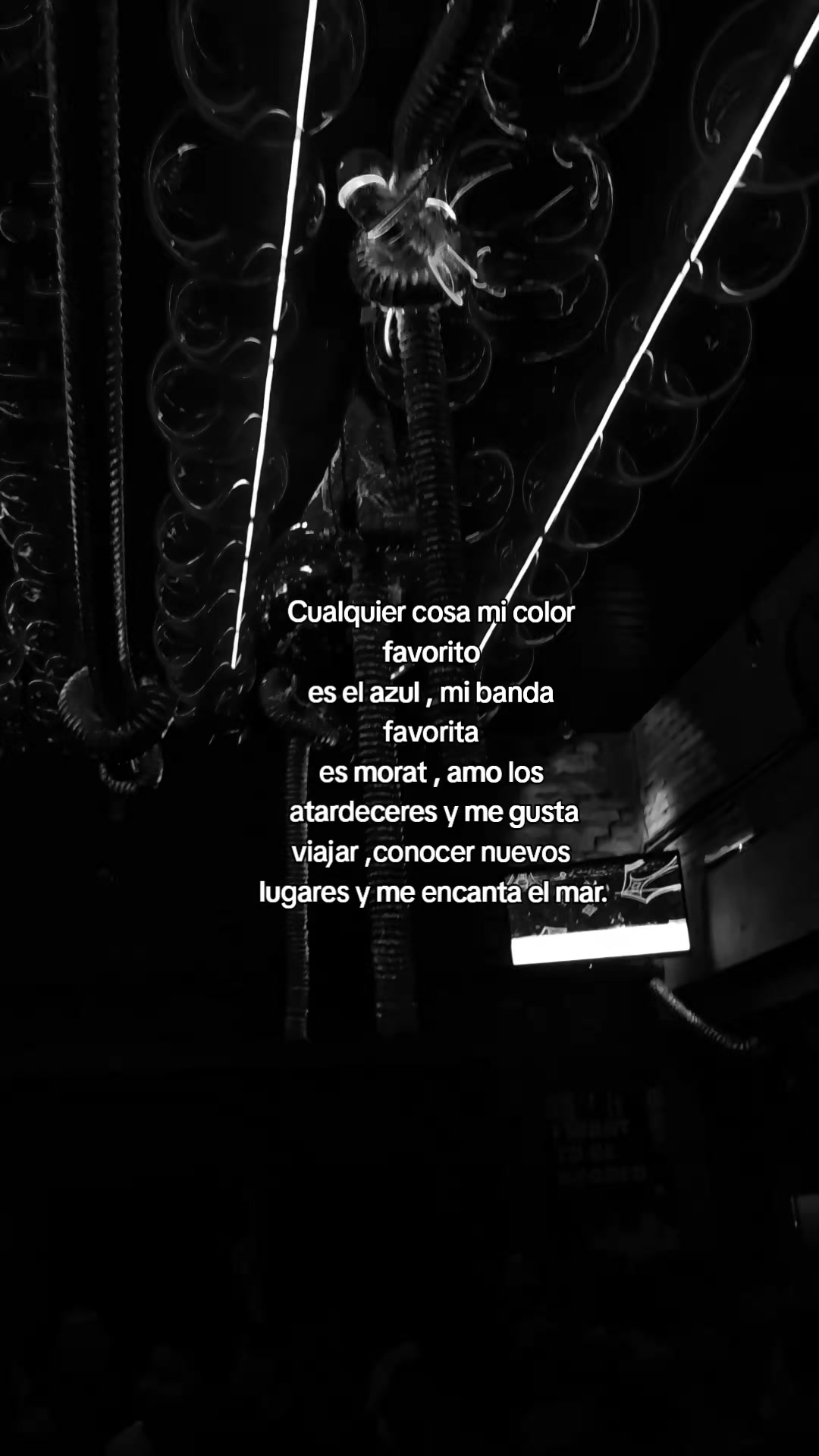 @hectorsaul04.