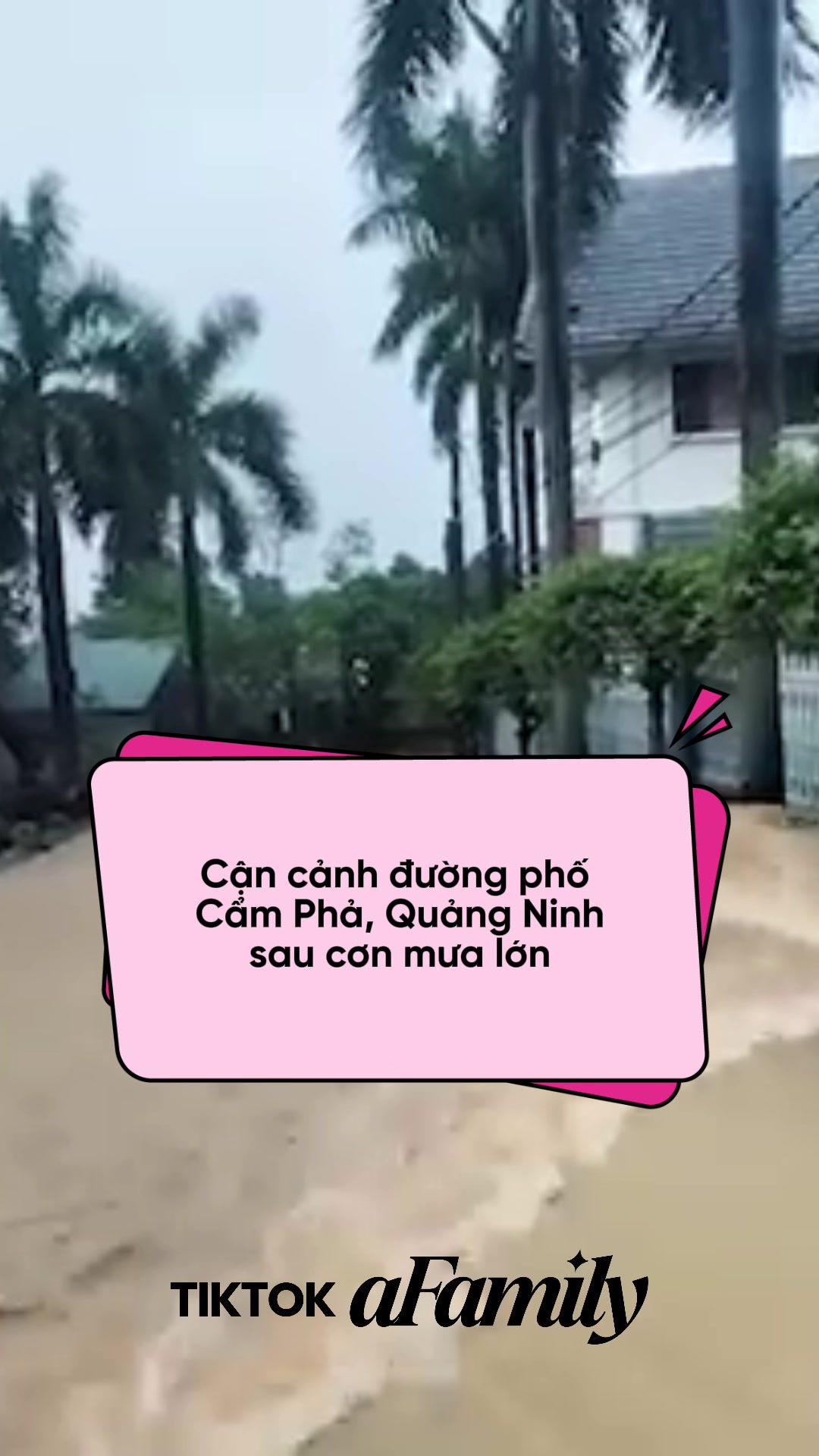@aFamily Ngay L&uacute;c N&agrave;y