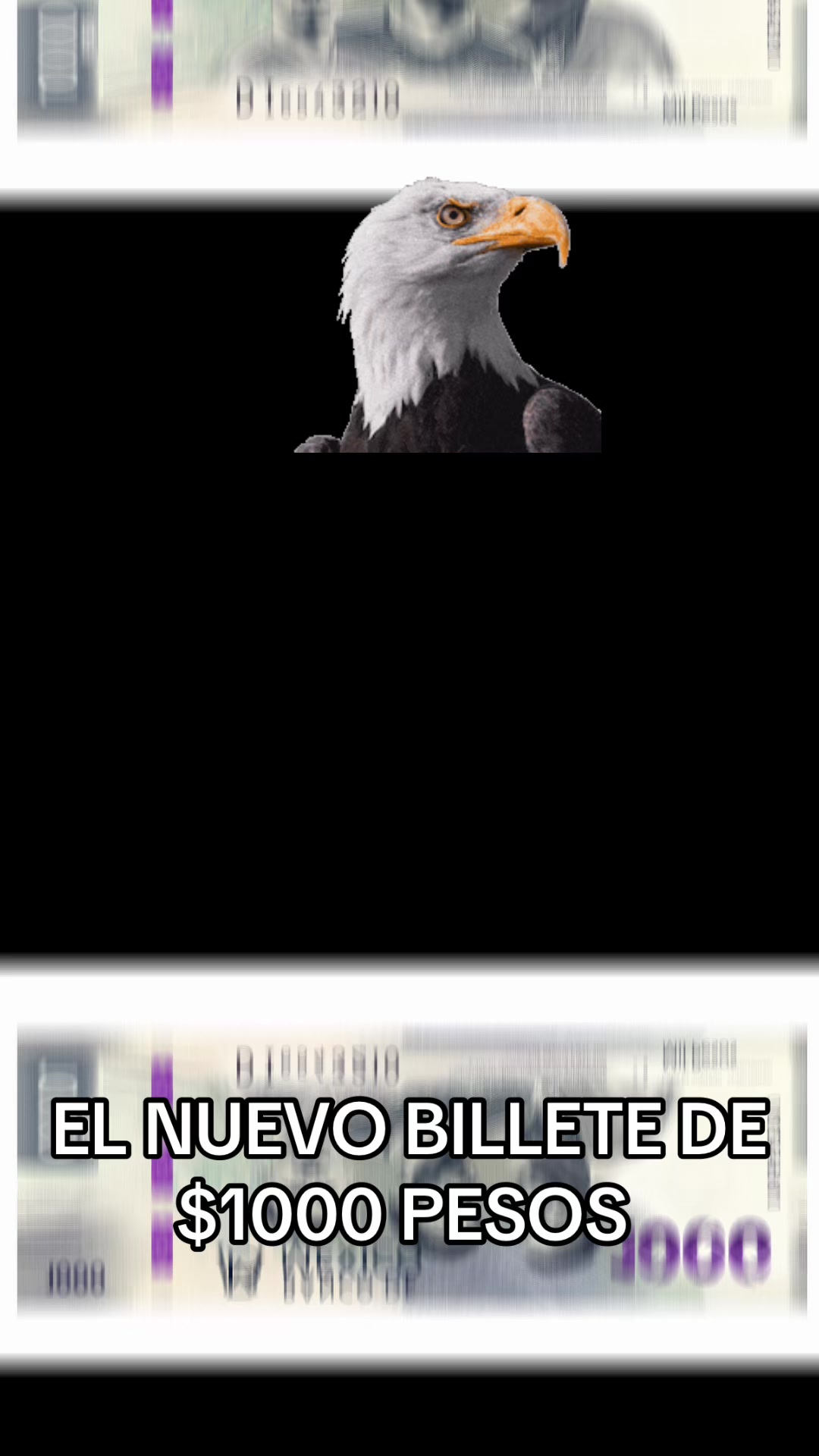 @@amorydolor6
