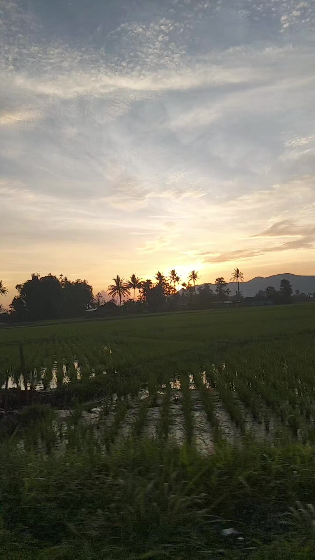 @desfia rahmadina