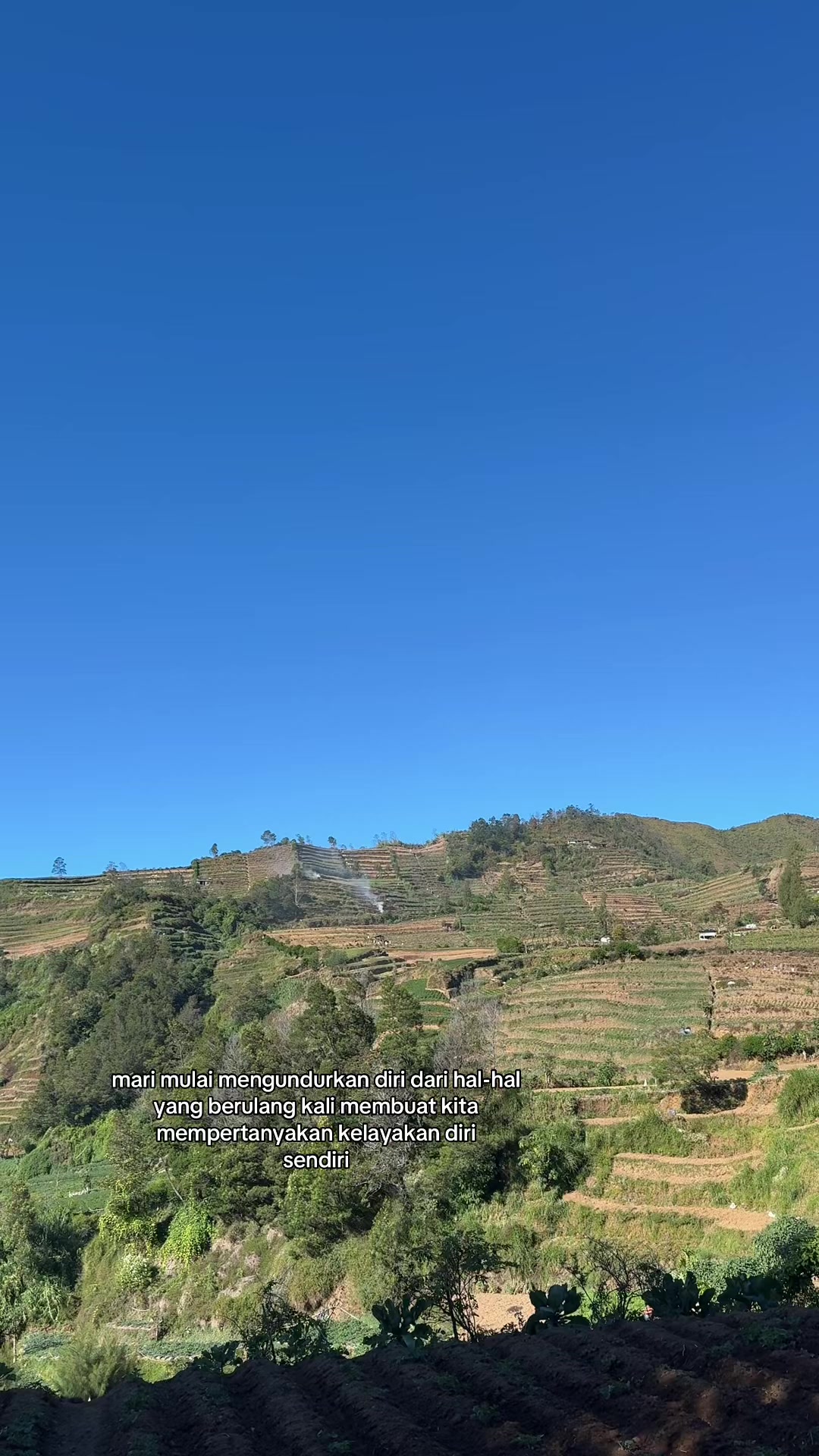 @zσηα gαℓαυ