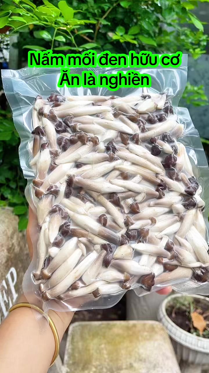 @nguyentuyet_79