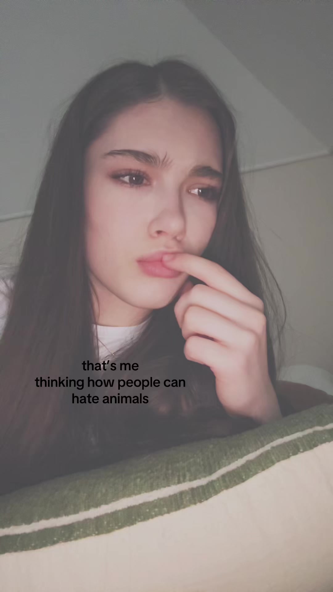 @Sophia Vorobkanych