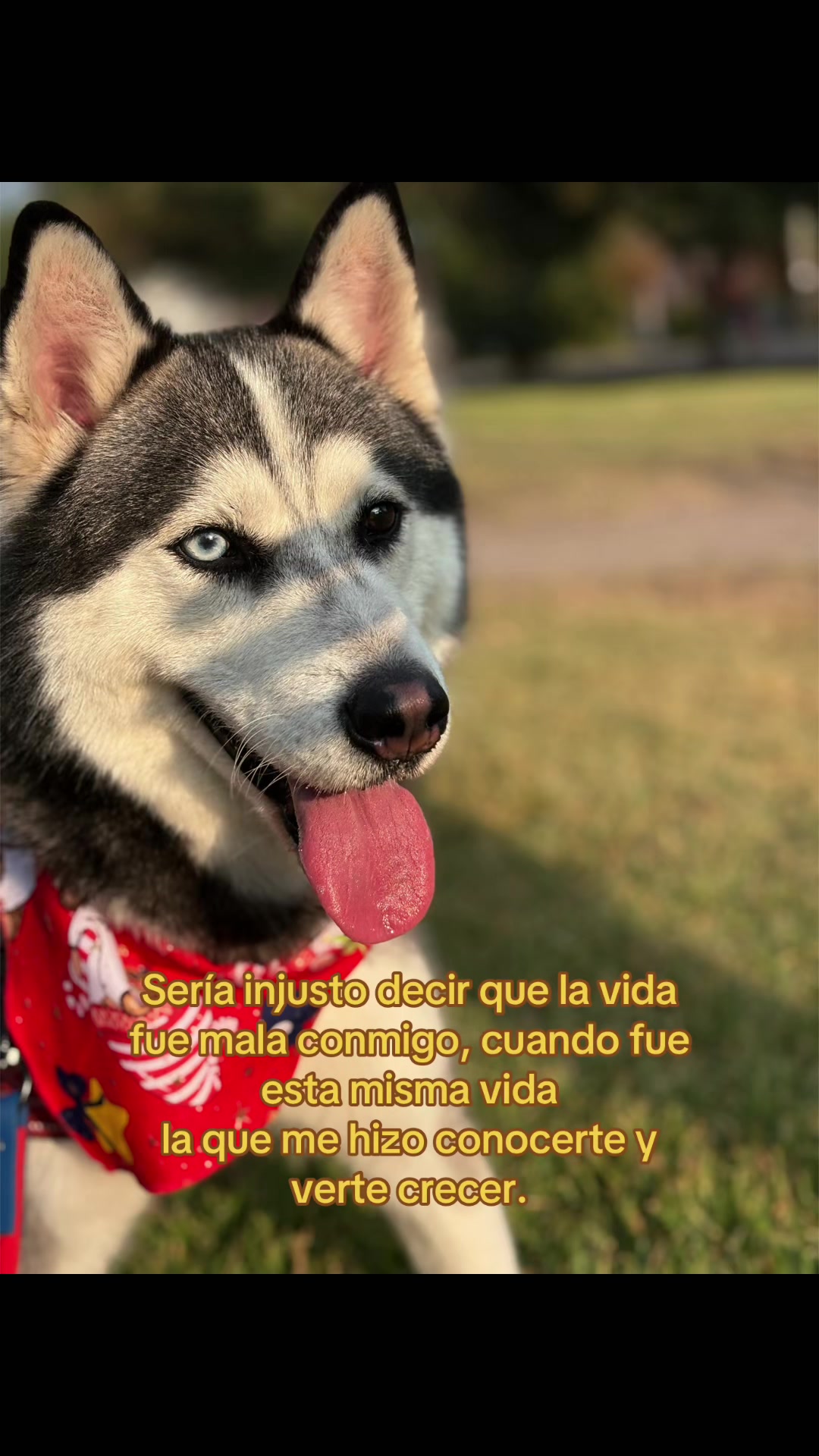 @Natalia🦋✨️