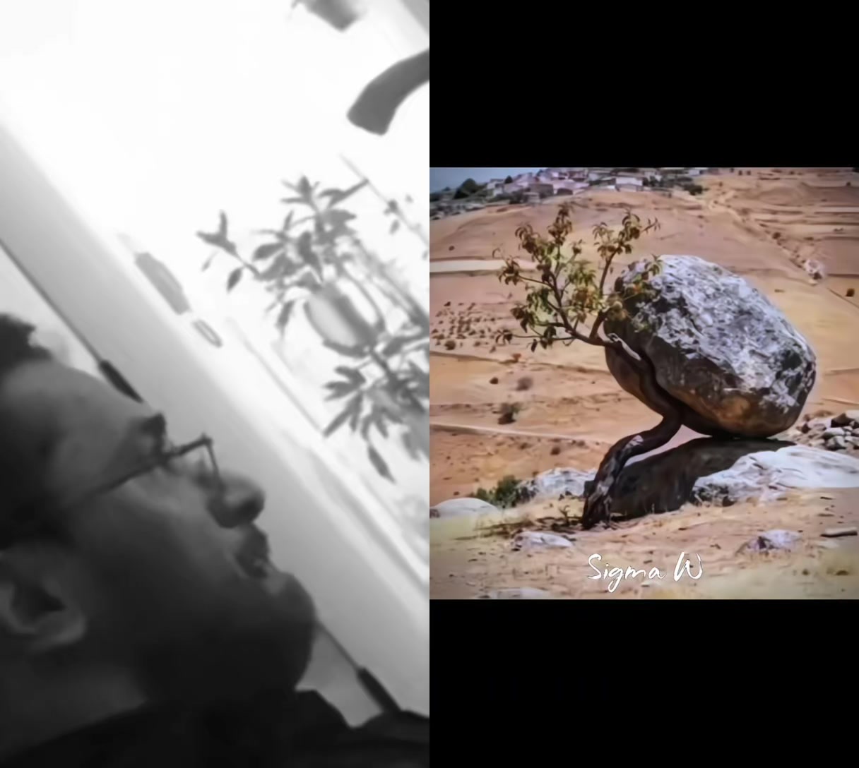 @محمد