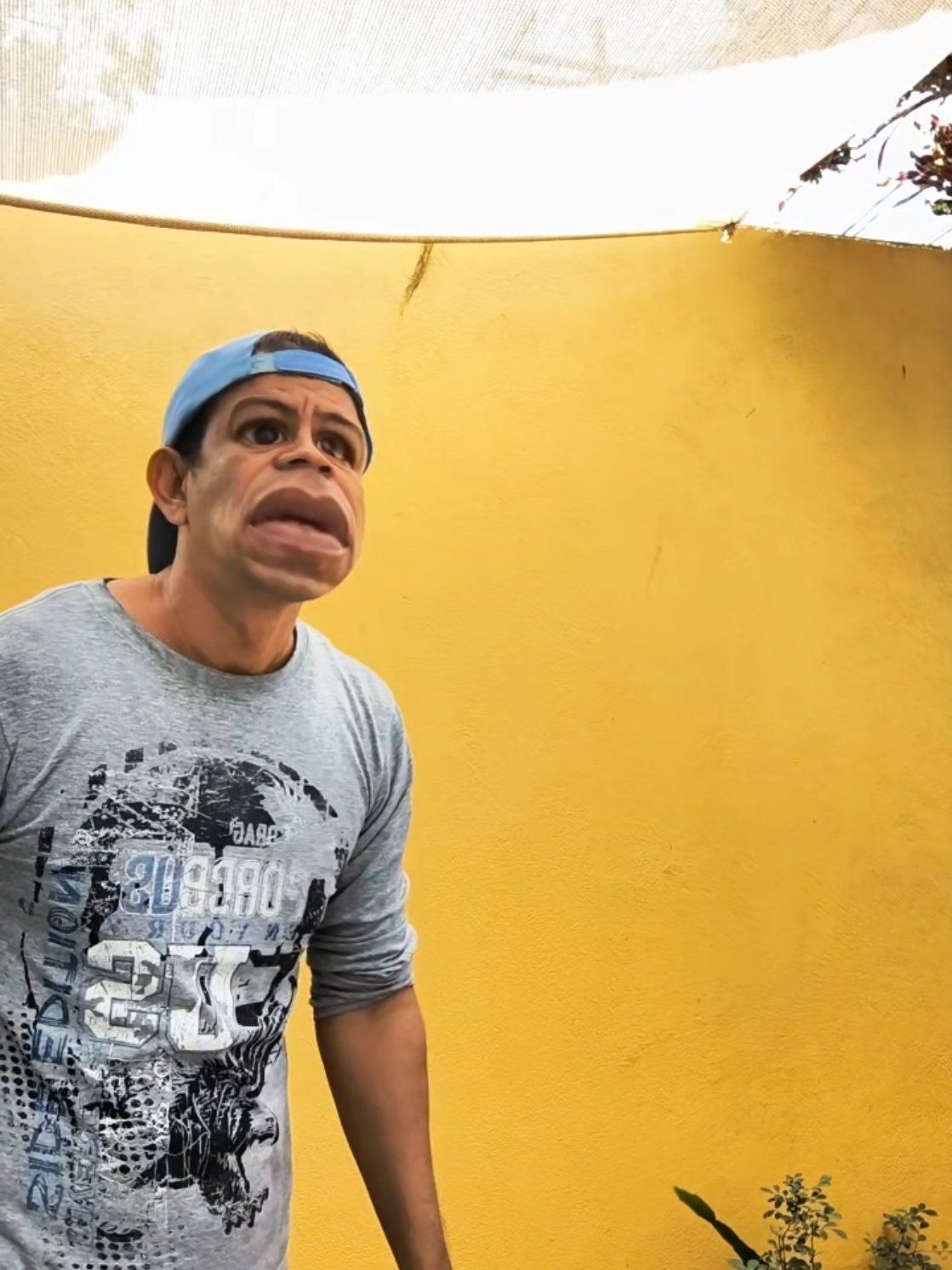 @Jesus sanchez Jarocho