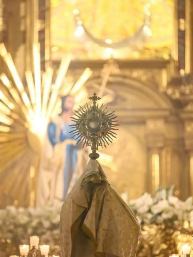 @Coração Católico 🇻🇦