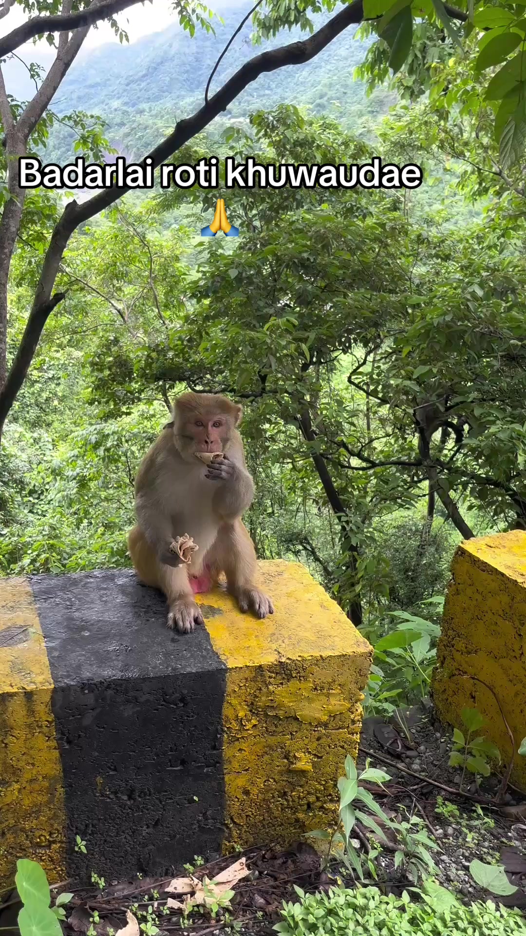 @sumitbhagat562