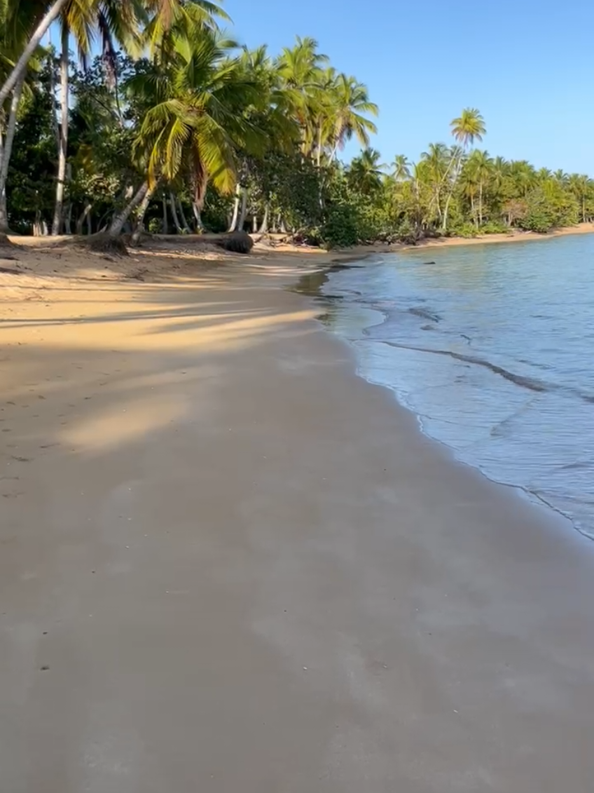 @MATEO🇩🇴🏖🏝