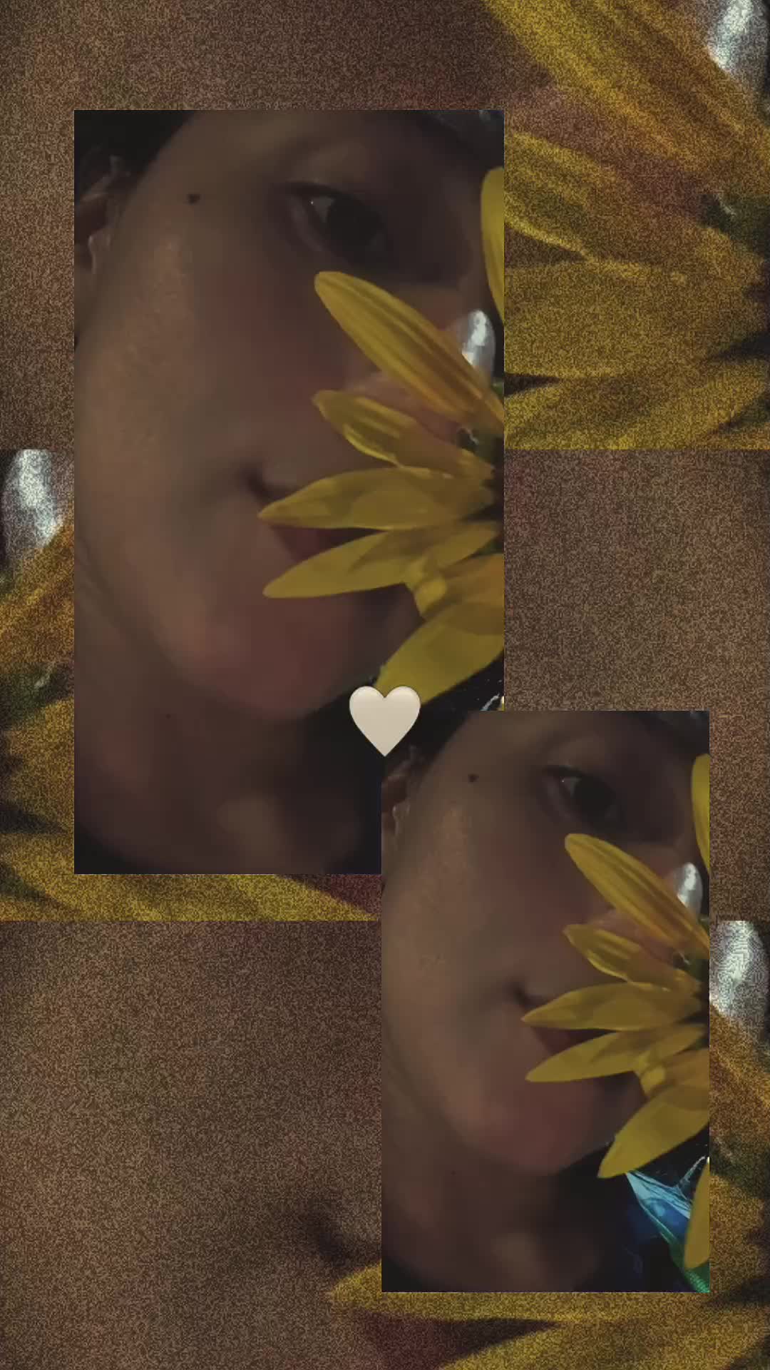 @🤍🎁🤍