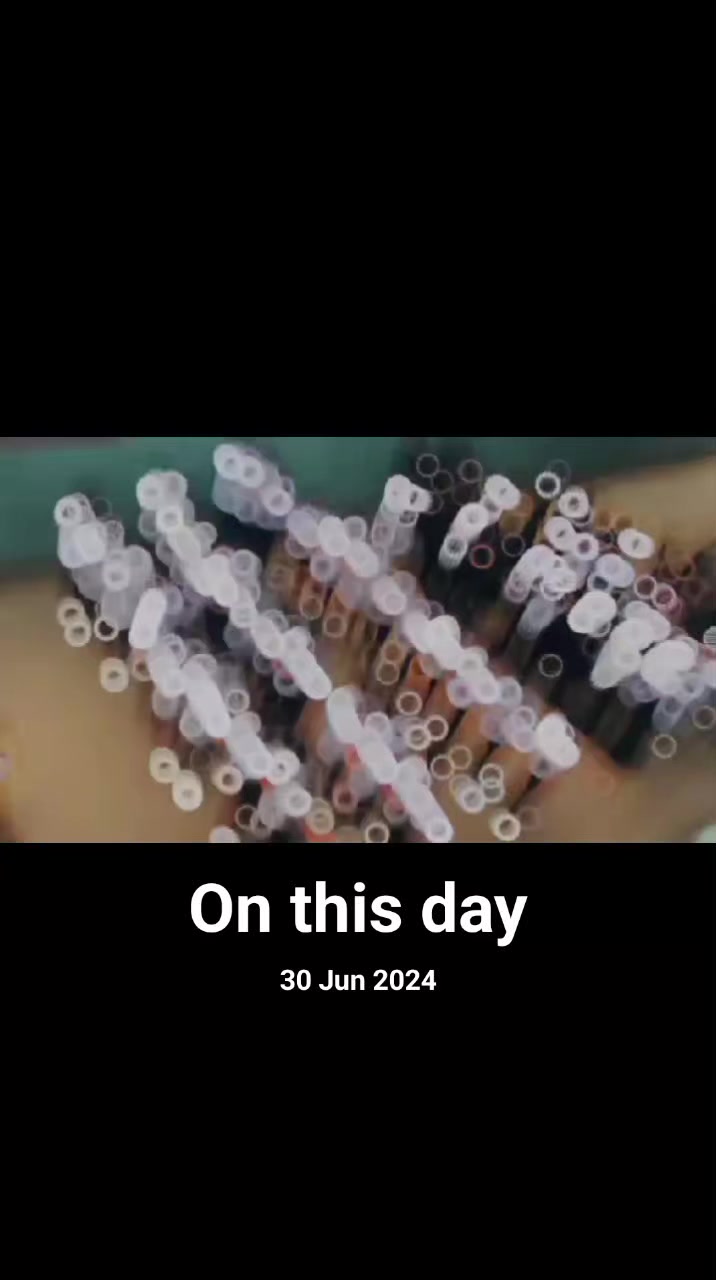 @polysd12