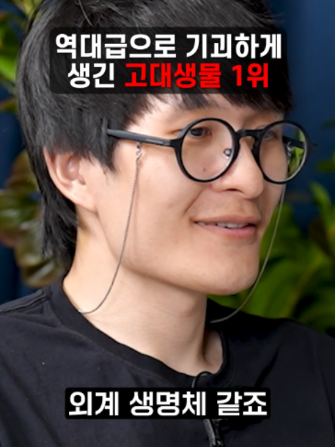 @보다