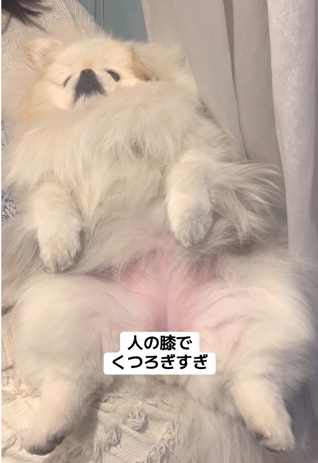 @なんこつ