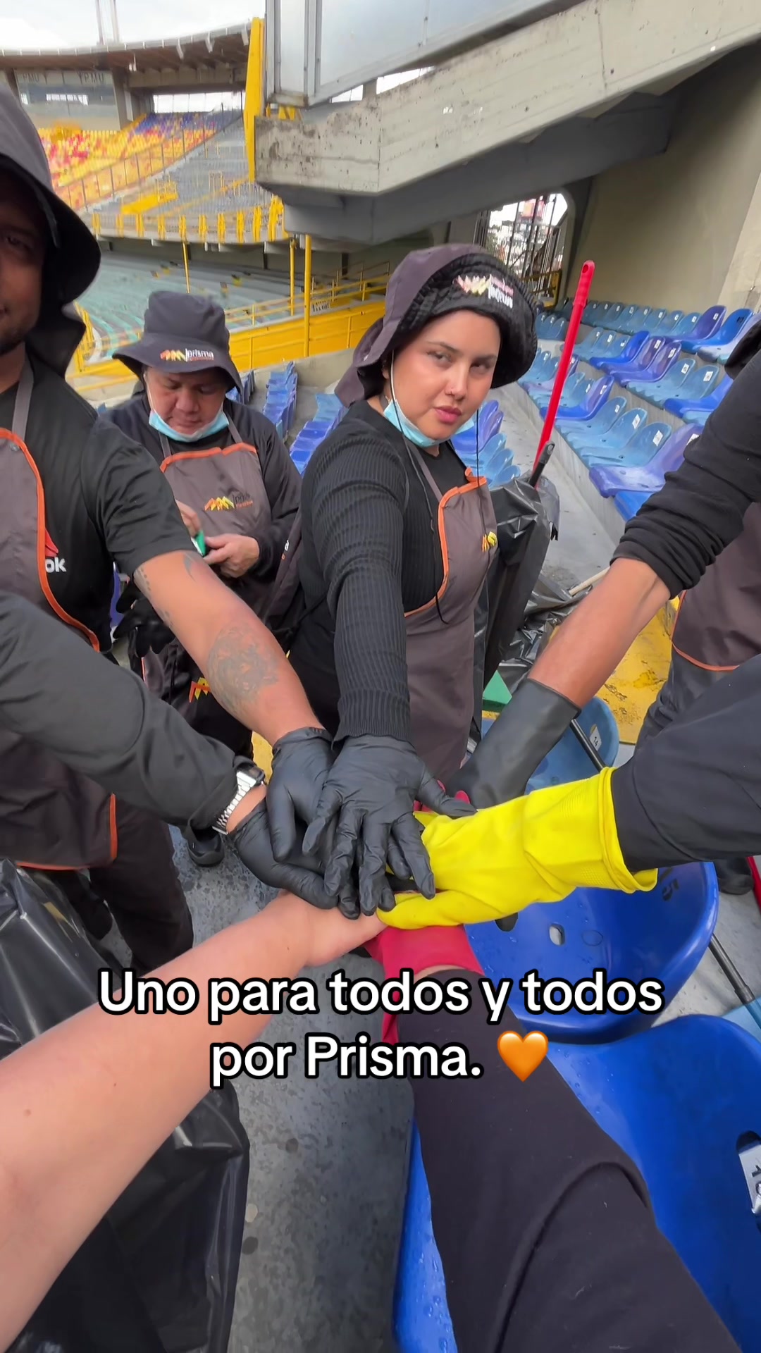 @Prisma mantenimiento