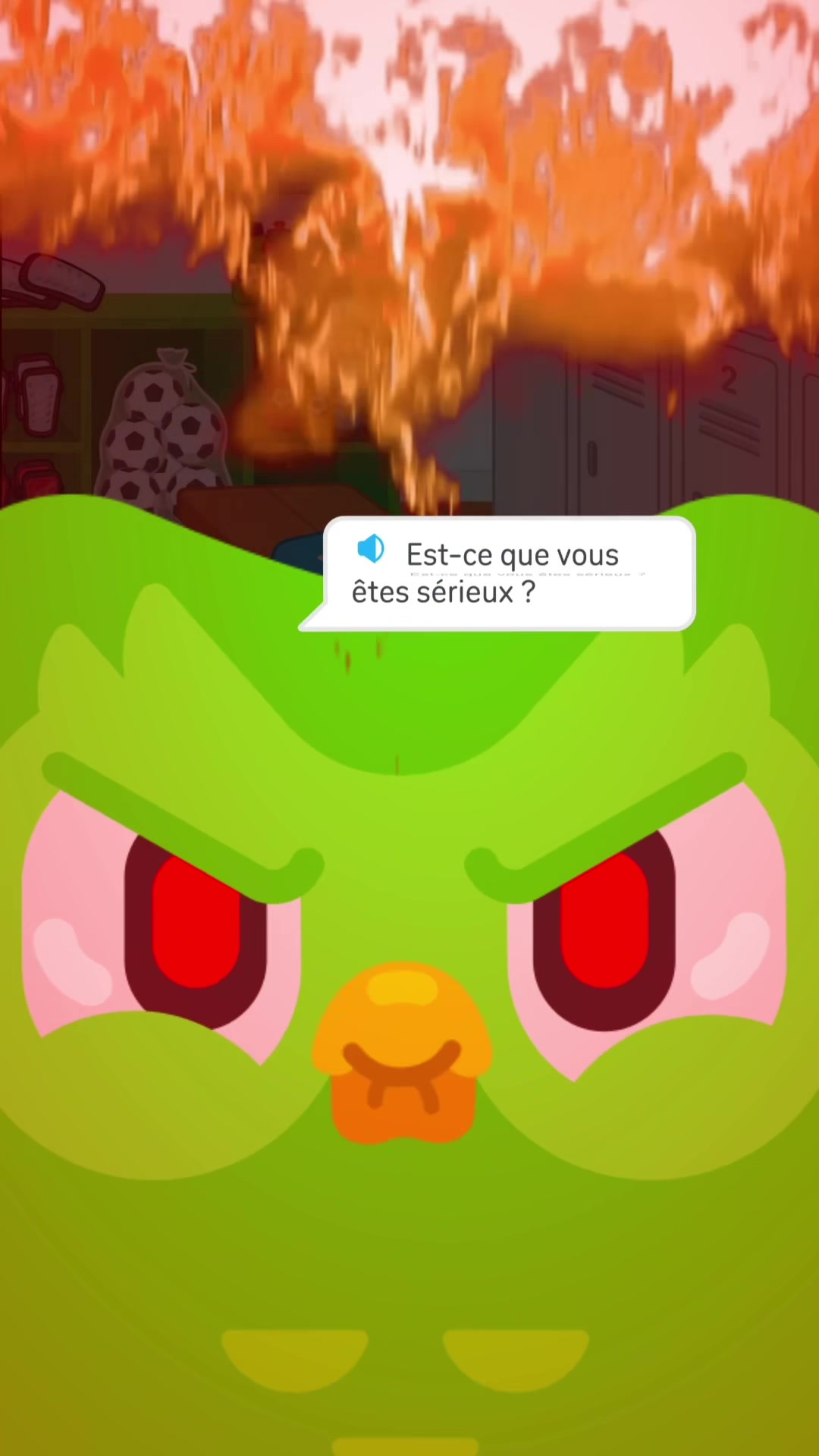 @Duolingo France