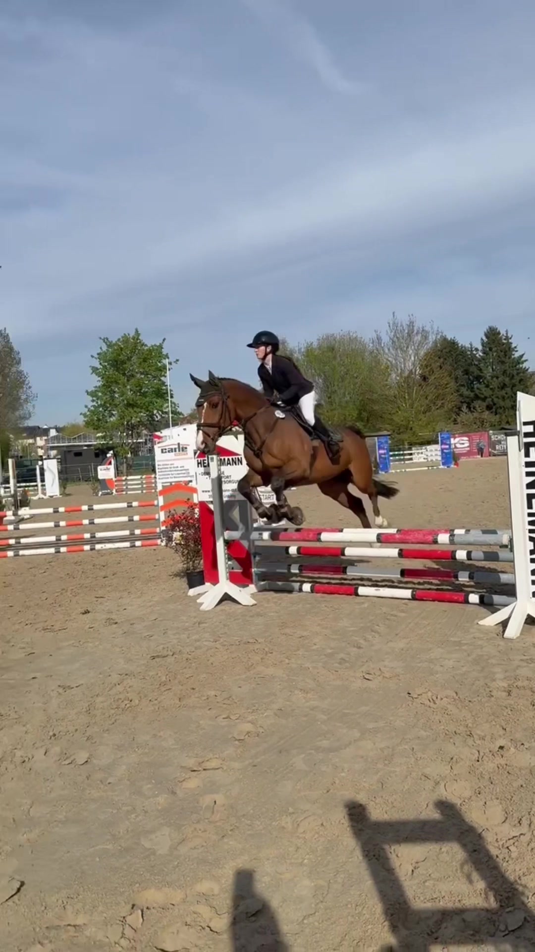 @La.Dolce.Horses
