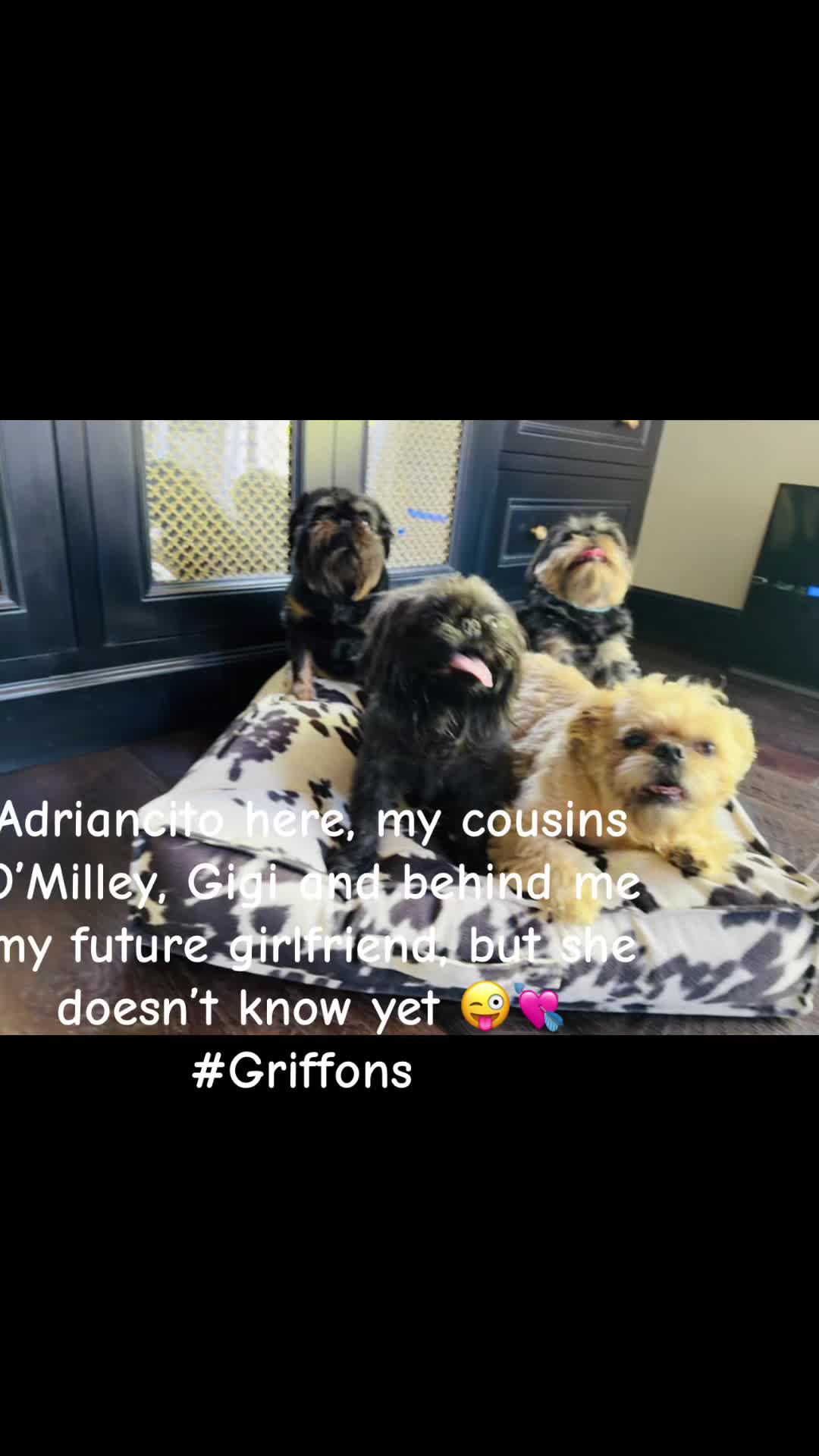 @LifeWithAdriancito