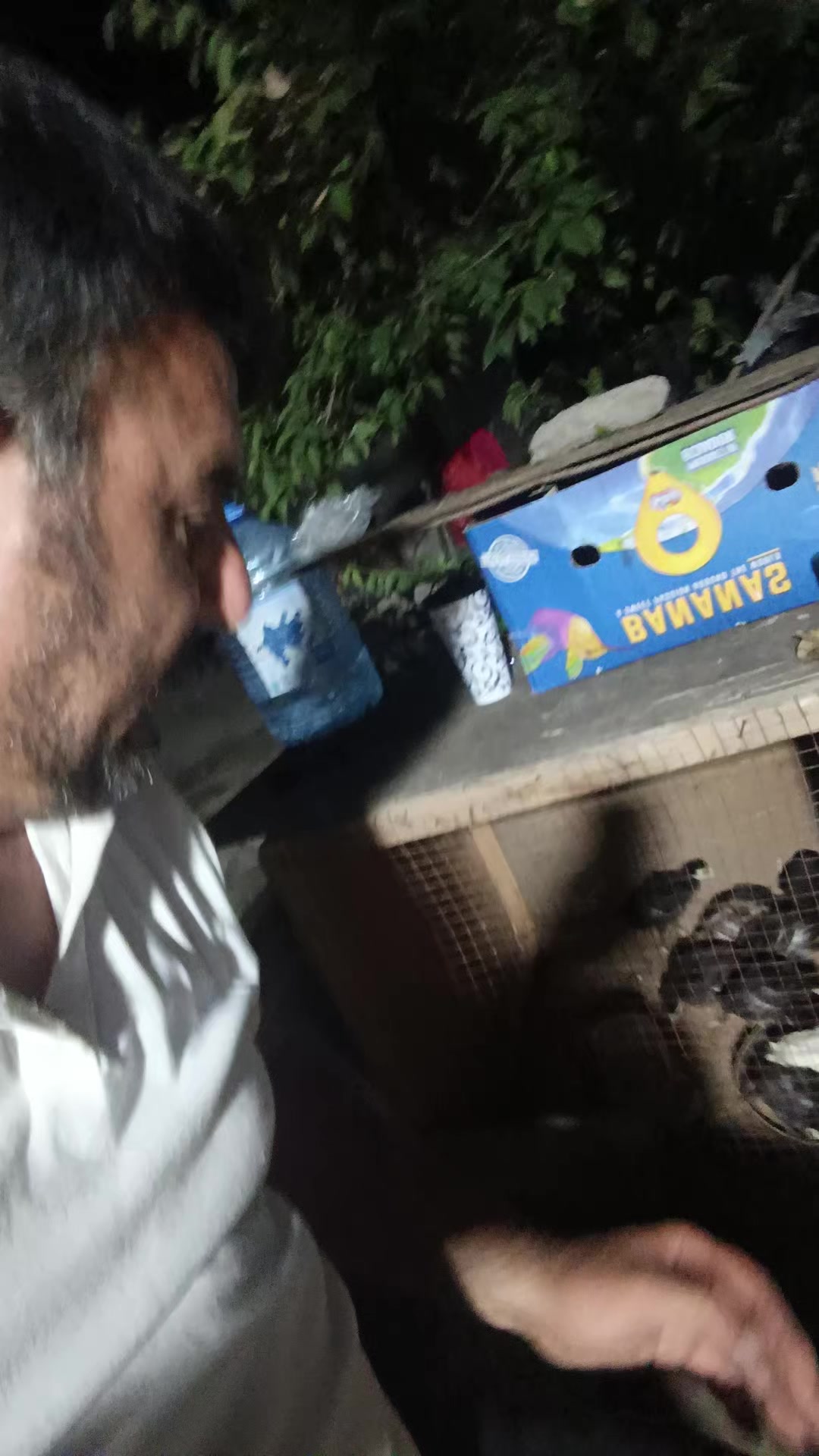 @lüt___Eşqin