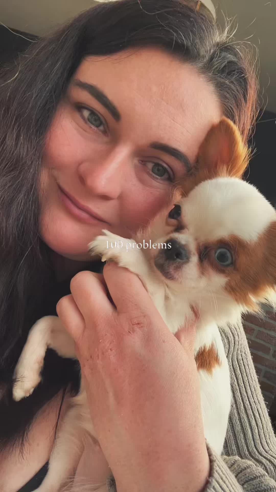 @Danielle |(chihuahua)mama 🐕🩵