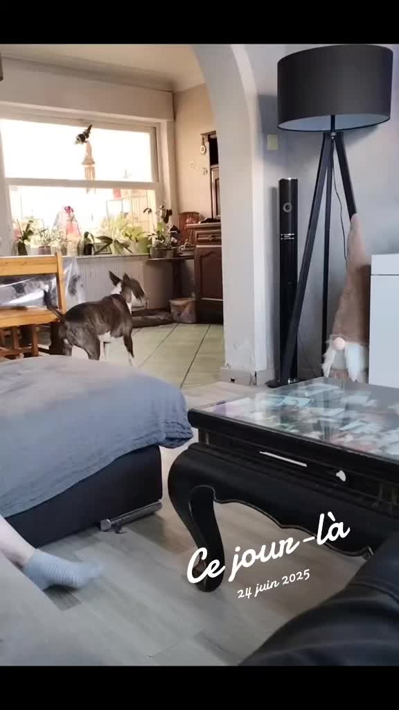 @Shelby_&_moi