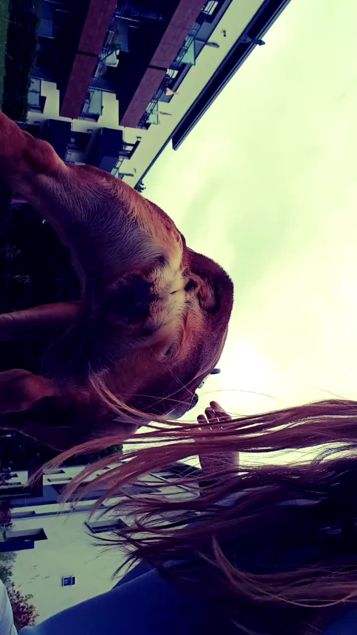 @...
