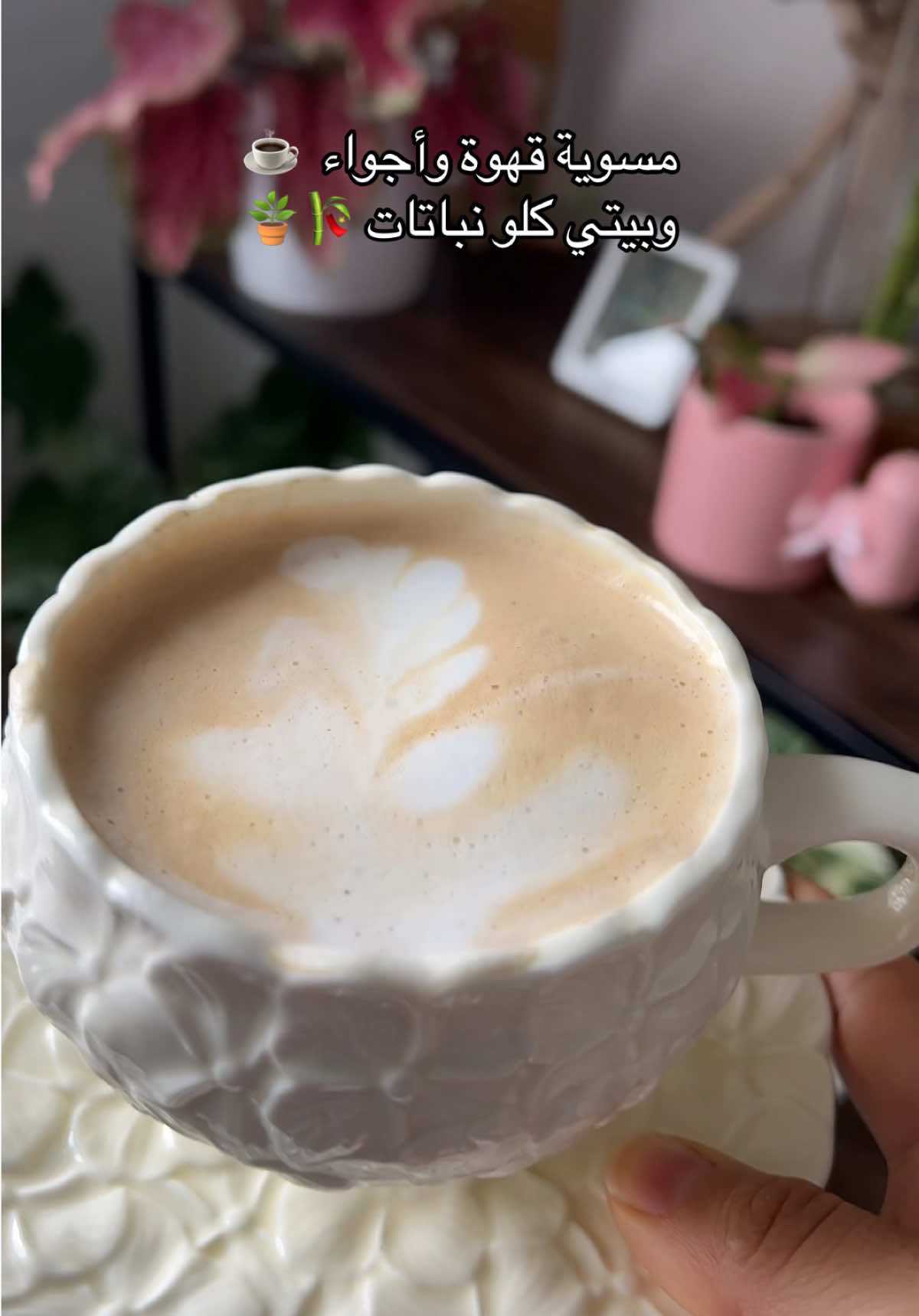 @|١٤١٤ه الَبتُــــــــــولْ