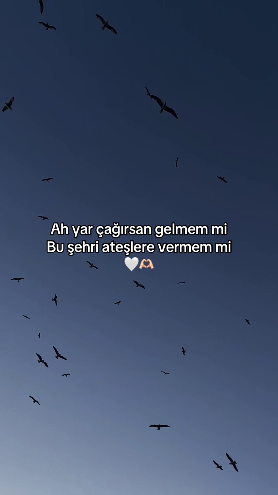 @irem_isc