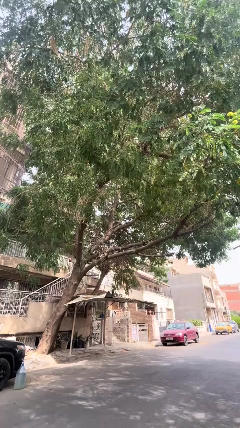 @ألكابتن محمد الاعظمي